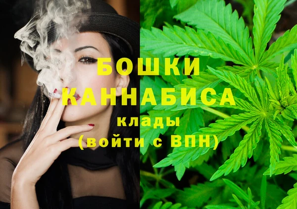 амф Козловка
