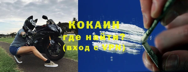 амф Козловка