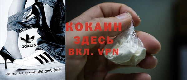 сатива Козельск