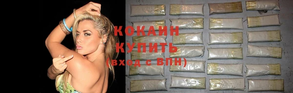амф Козловка