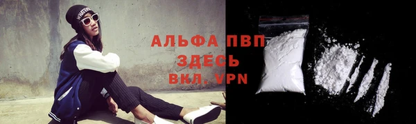 ПСИЛОЦИБИНОВЫЕ ГРИБЫ Коряжма