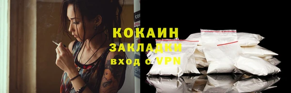 сатива Козельск