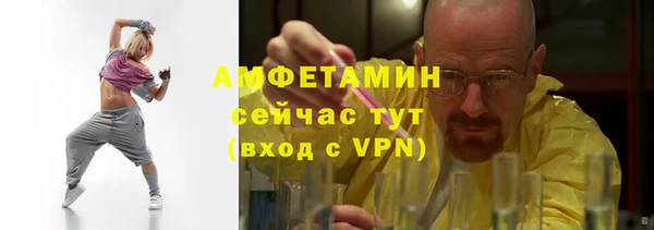 амф Козловка
