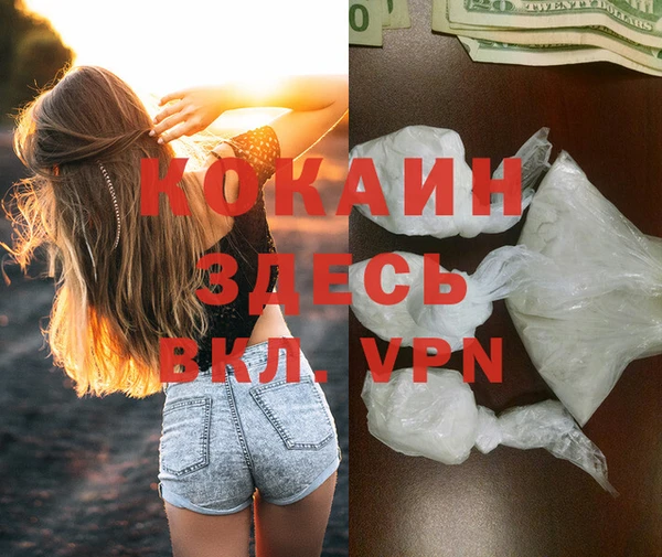 сатива Козельск