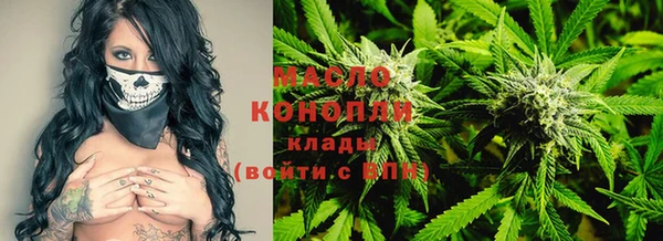амф Козловка
