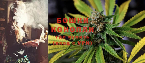 трава Корсаков