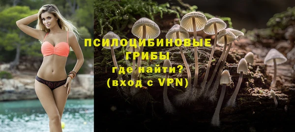 ешки Кодинск