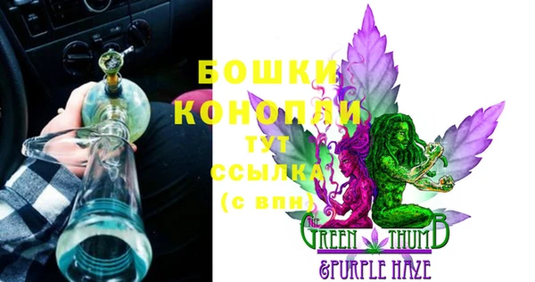 амф Козловка