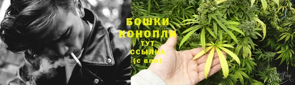 амф Козловка