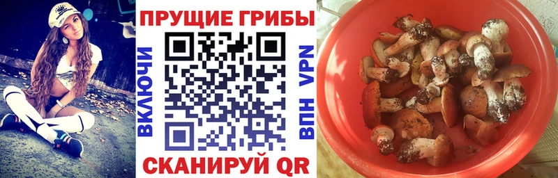 где купить наркоту  Касли  shop как зайти  Псилоцибиновые грибы MAGIC MUSHROOMS 